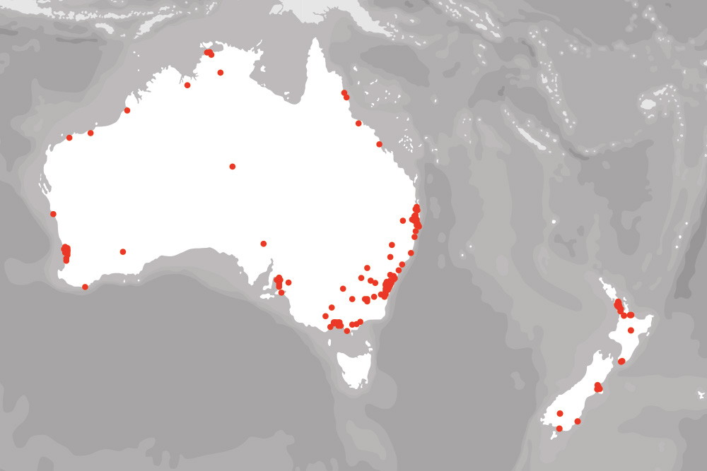 a red location pin on a road network map