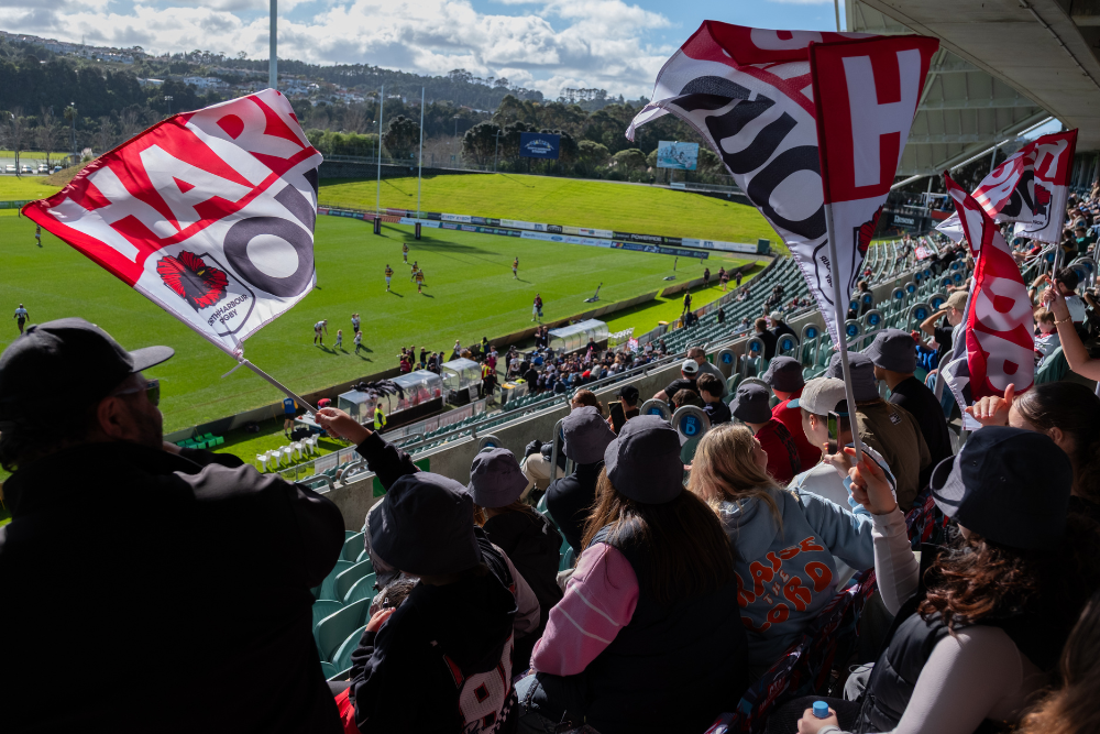 image of fans at north harbour rugby